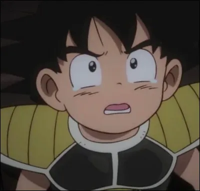 Quel est le vrai nom de Goku ?