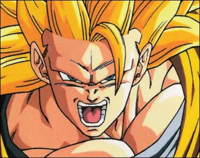 Avec quelle technique Goku bat-il Hildegarn ?