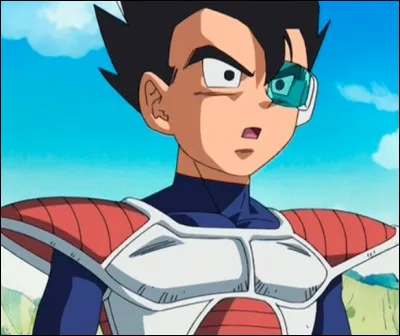 Comment se nomme le petit fr&egrave;re de Vegeta ?