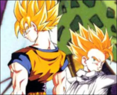 Combien de temps Goku et Gohan se sont-ils entra&icirc;n&eacute;s avant l'arriv&eacute;e des cyborgs ?