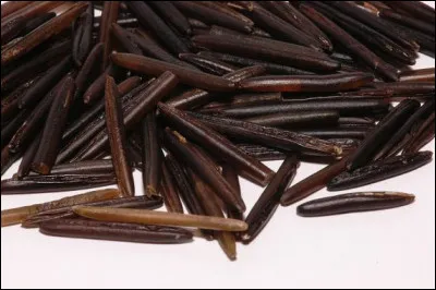 Quel était le slogan du film d'Ernst Lubitsch, Ninotchka ?