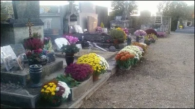 Quel film de Louis Daquin, de 1943, est tiré d'un livre éponyme de Georges Simenon ?