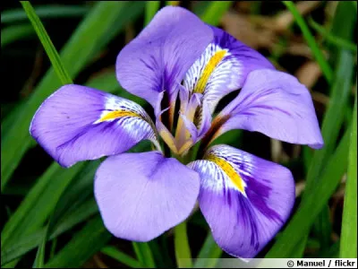 Qu'ai-je sur la tête ?