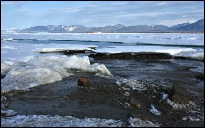 Actualité | À quel endroit du monde a été récemment découvert ce qui semblerait être l'île la plus au nord du monde ?