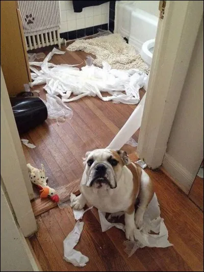 Comment trouves-tu celle-ci ?