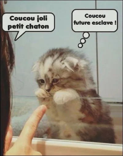 Comment trouves-tu celle-là ?