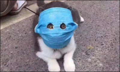 Imagine ! Tu es dans la rue et tu vois ça.