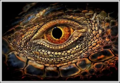 Comment seraient tes yeux ?