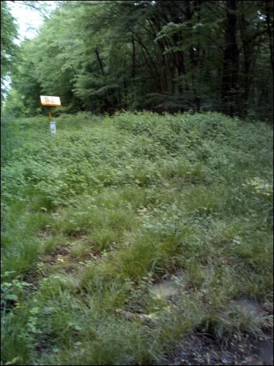 Sauras-tu reconnaître de quel milieu naturel il s'agit ?