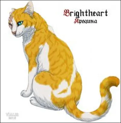 Qui a dit à Cœur Blanc ''Tu es toujours belle à mes yeux. Tu seras toujours belle.'' ?