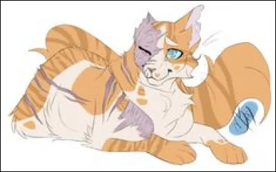 Quel est son nom de chaton ?