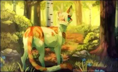 Qui sont ses mentors ?