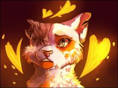 Comment a-t-elle eu sa blessure ?