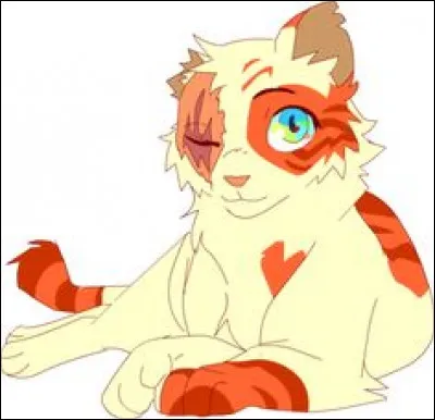 Combien de chatons a-t-elle eus ? (En comptant ses chatons adoptifs)