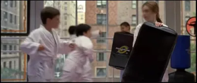 Quel sport de combat pratiques-tu ?