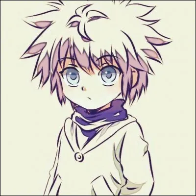 Dans ''Hunter x Hunter'' quel est le nom de famille de Killua ?