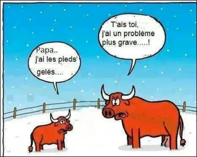 J'espère que vous savez tout sur lui, depuis le temps !