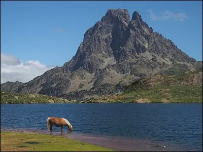 Maintenant nous prenons le train pour aller vers les Pyrénées-Atlantiques. Une fois arrivés, nous visitons le...