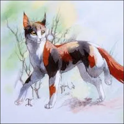 Petite Feuille sest sacrifiée pour sauver 2 chatons. Qui étaient-ils ?