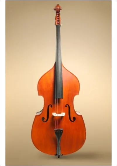 C ~ Contrebasse : De quel orchestre est-elle généralement accompagnée ?