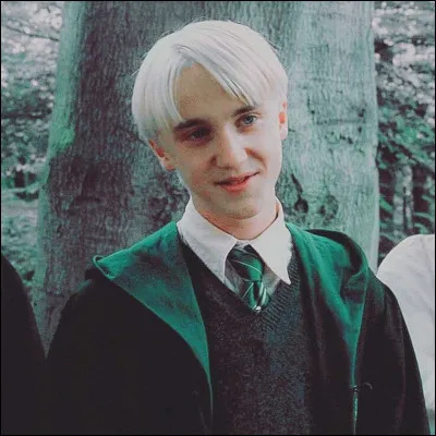 Au début de la sixième année à Poudlard, selon Harry, qu'est devenu Drago Malefoy ?