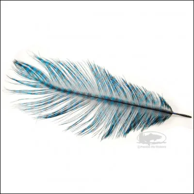 Avec quoi Rita Skeeter écrit-elle ses interviews ?