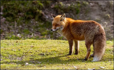Pour finir, un petit dernier facile que vous connaissez tous !