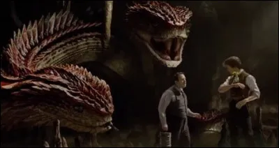 Avec qui et où vit le Runespoor de Norbert Dragonneau ?