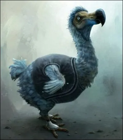 En parlant de Dirico, comment les Moldus le nomment-ils ?
(Une réponse)