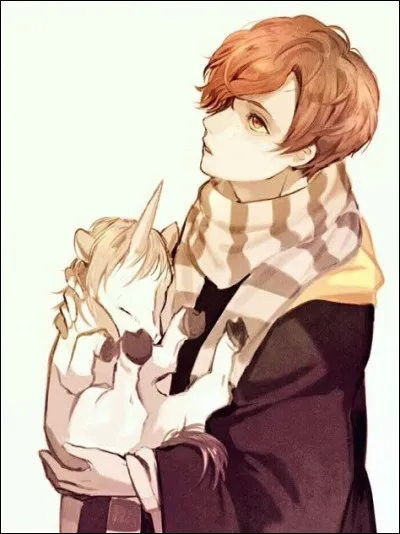 Où sont les licornes de Norbert ?