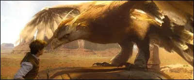 Comment est appelé cet Oiseau-Tonnerre ?