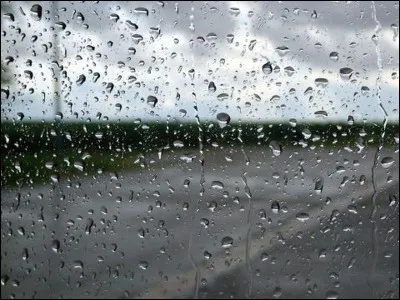 Quel réalisateur a mis en scène le long-métrage "Black rain" ?