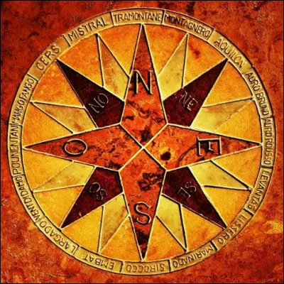 Quel est ton point cardinal préféré ?