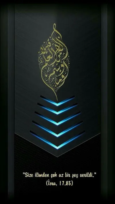 En Iran, juste à l'ouest de l'Afghanistan, à la même période, la Révolution islamique connaît de grandes victoires et en viendront des combattants pour la résistance afghane contre le communisme ; combien d'années de guerre communistes/résistants nationalistes suivront ?