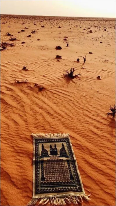 Ce même pays s'intéresse beaucoup à la situation politique afghane puisqu'en pleine guerre froide, il se rend compte que le régime communiste est en pleine disgrâce en Afghanistan. En quelle année décide-t-il d'envahir le territoire afghan pour porter secours aux communistes du pays ?