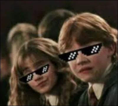 Préfères-tu "l'armée de Dumbledore" ou "l'ordre du Phénix" ?