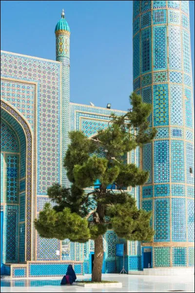 Malgré tout, ce sera Massoud qui prendra le pouvoir en Afghanistan après quelques années de guerre civile, en avril...