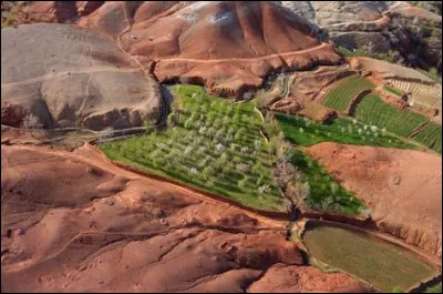 En réaction à cette prise de pouvoir, les Pakistanais font former des talibans, dès 1994, près d'Islamabad. Où ces réfugiés sont-ils formés au métier de taliban ?