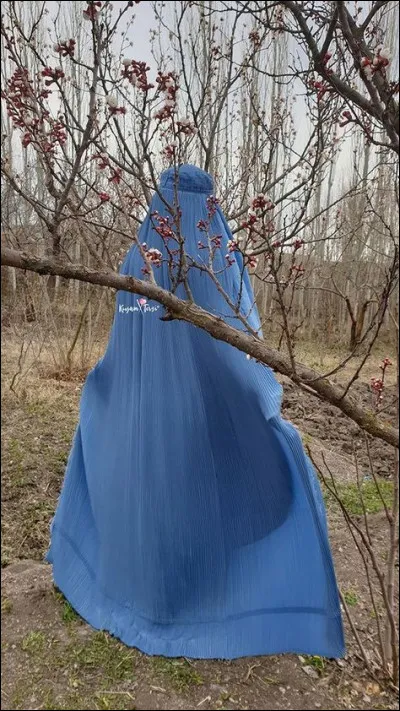 Le chef des talibans, aussi connu sous le nom de "commandeur des croyans", dirige tout le pays en étant basé au sud de celui-ci ; sous quel surnom était-il connu ?