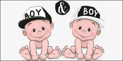 Complétez le phrase : "Pierre et François se ressemble, .......des jumeaux".