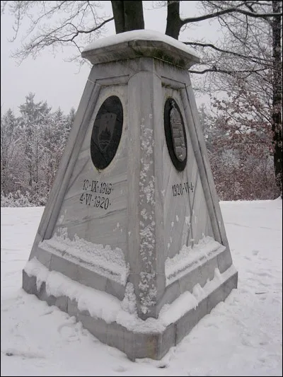 Dans certains pays, les droits linguistiques s'accordent selon un recensement général des minorités, notamment en terme de scolarité dans la langue de celles-ci. Exemple : [Complétez !]
