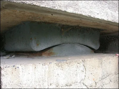 En Chine quel animal &eacute;tait r&eacute;put&eacute; prot&eacute;ger des tirs d'armes et &eacute;tait associ&eacute; &agrave; la lune ?