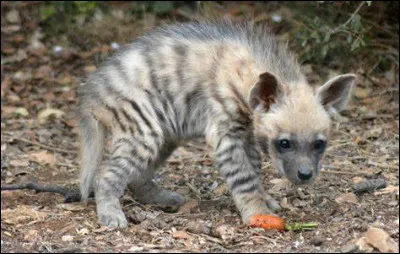 Qui sont ses parents ?