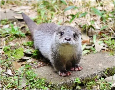 Qui sont ses parents ?