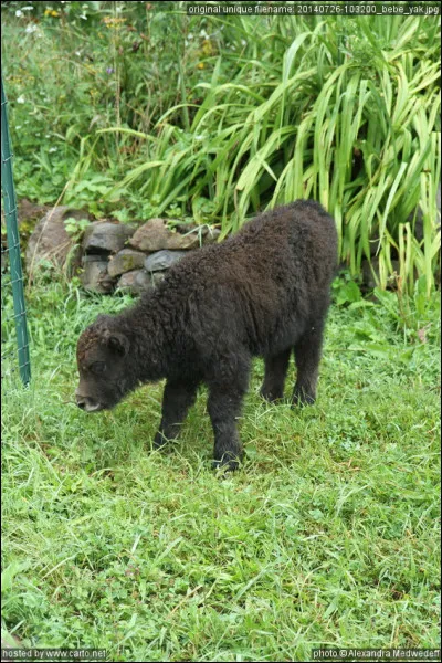 Qui sont ses parents ?