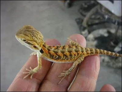 Qui sont ses parents ?