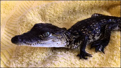 Qui sont ses parents ?