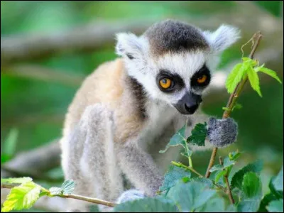 Qui sont ses parents ?