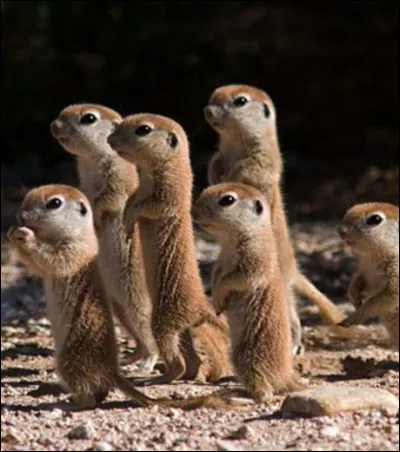 Qui sont leurs parents ?