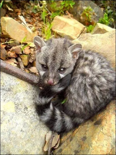 Qui sont ses parents ?